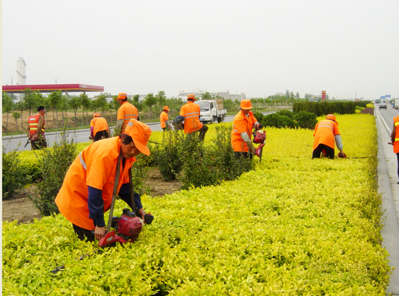 é„­æ–°å¿«é€Ÿé€šé“é¤Š(yÇŽng)è­·(hÃ¹)